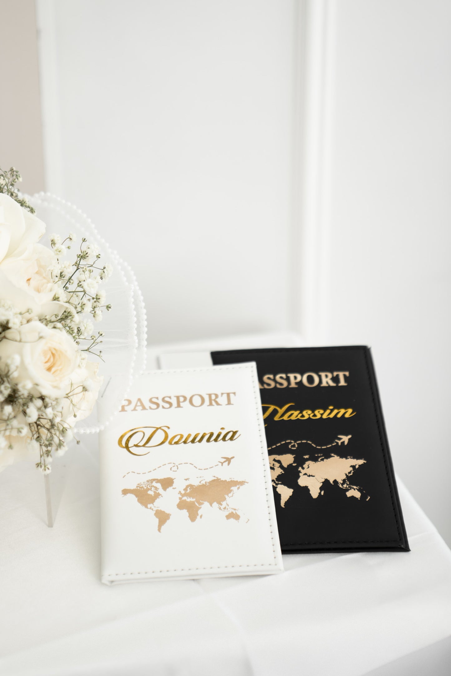 Protège-Passeports